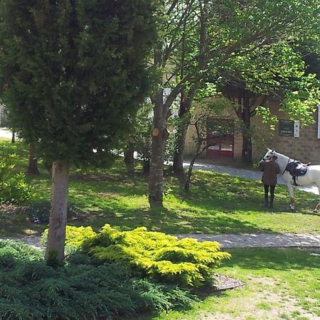 Alda Palas De Rei Kültér fotó